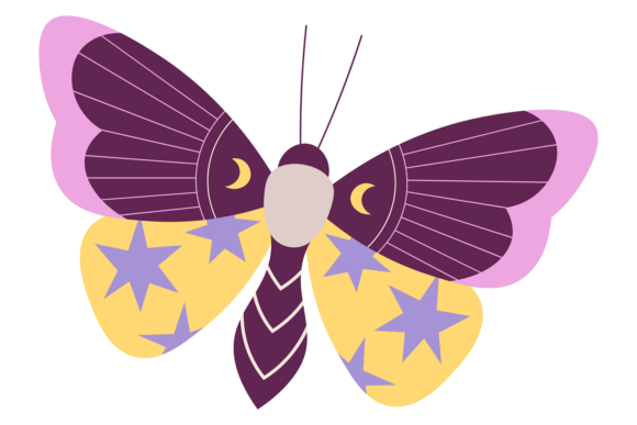 Exotic Butterfly: Graphics for Summer Branding
