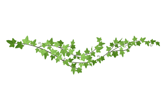 Liana Green Border. Decorative Ivy Graphics